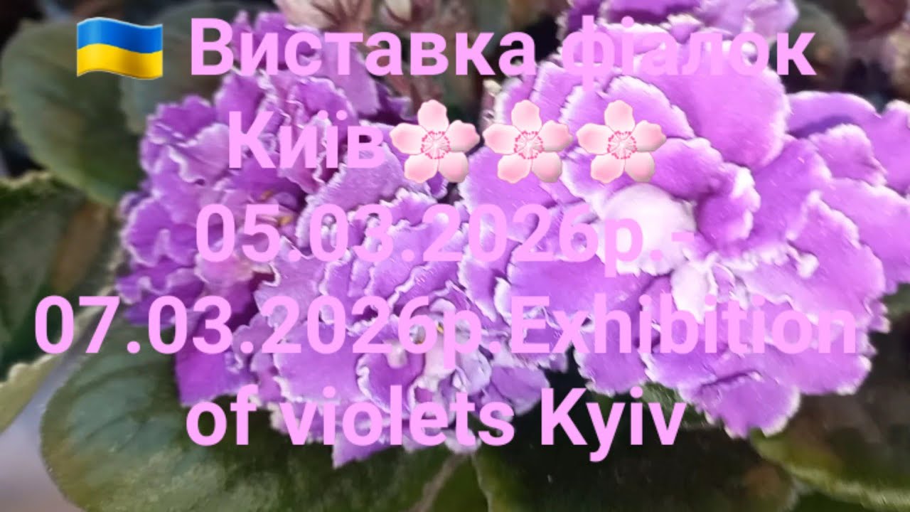 🇺🇦 Виставка фіалок Київ🌸🌸🌸 05.03.2026р.- 07.03.2026р.Exhibition of violets Kyiv 
