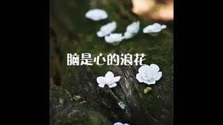 201312 脑是心的浪花30536