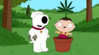 Video thumbnail of "Family guy bag of weed song"