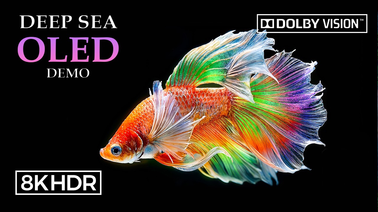Deep Sea Fish OLED Demo HDR 8K Ultra HD Dolby Vision™ 60fps