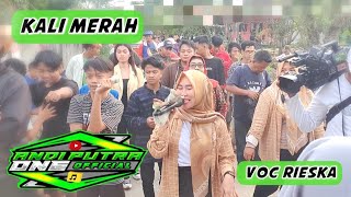 Download Lagu ANDI PUTRA 1 Kali Merah Voc Rieska Live Ciasem Sawah Tgl 2 November 2022 MP3