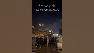 تلاوة من سورة سبأ في ليلة ماطرة في المسجد الاقصى #الأقصى #تراويح #قرآن #رمضان