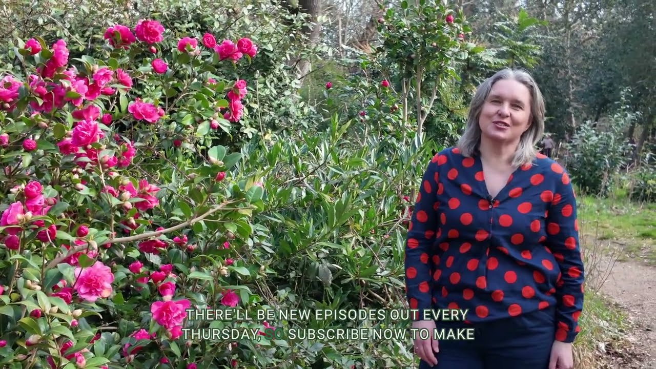 Introducing the Scribehound Gardening Deep Dive Podcast