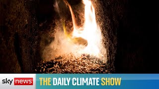 Can biofuels help us reach net zero?