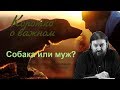 Собака или муж? Протоиерей Андрей Ткачев - 2017