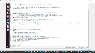 Sockets UDP en C Linux