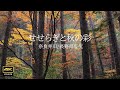 4K 映像 + 自然環境音【奈良井川】10月11月 　紅葉の奈良井川　 秋の彩とせせらぎ