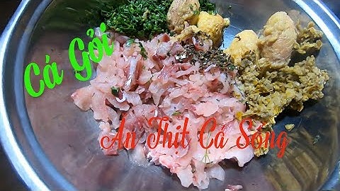 Gỏi Cá Chép Ăn Thịt Cá Sống ✓ Poòng Văn Quỳnh