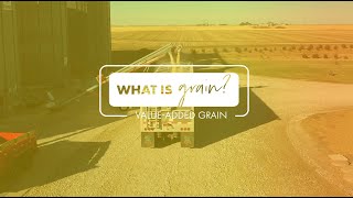 What is Grain? Value-Added Grain