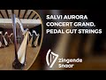 Salvi aurora concert grand pedal gut strings