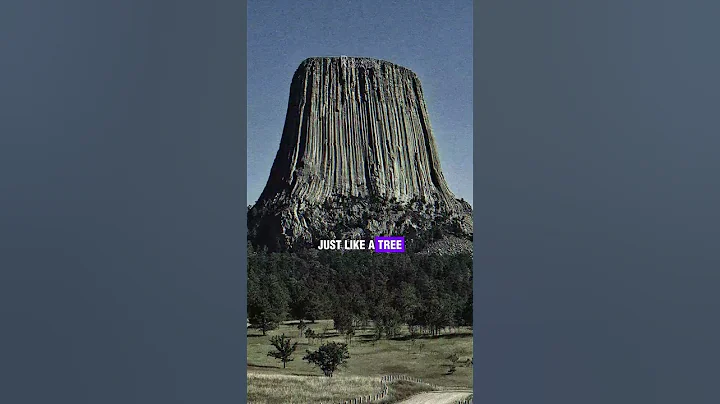 Are mountains cut down giant trees? Video made for entertainment purpose only