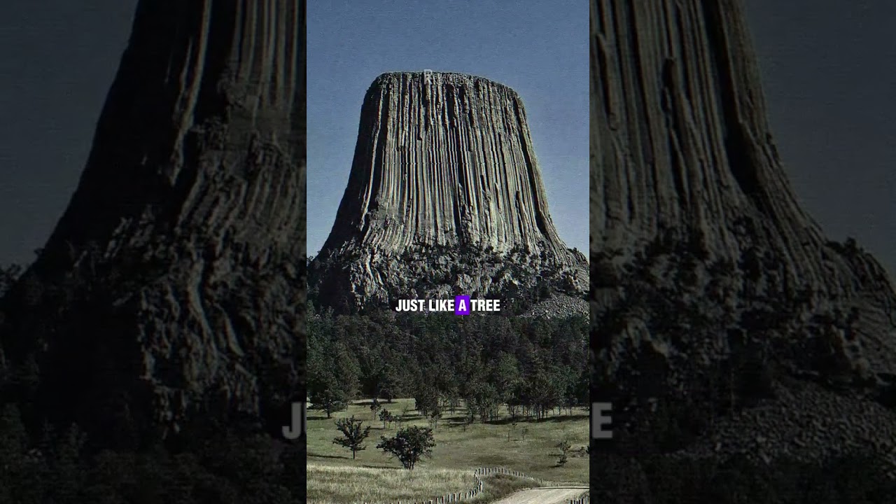 Are mountains cut down giant trees? Video made for entertainment purpose only