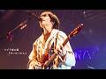 クジラ夜の街 「せいかつかん」 Live Video