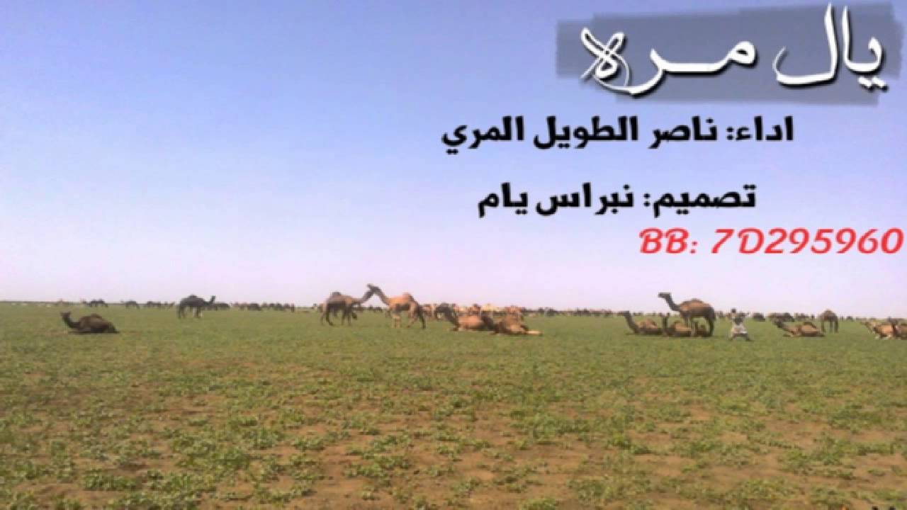 ناصر الطويل المري  |  يال مره  |2014   ♫ ..