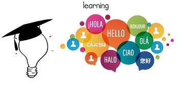 Google Summer of Code: Student Motivations and Contributions