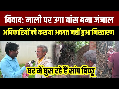 #Ghazipur||नाली पर उगा बांस बना जी का जंजाल #rasulpurnews 