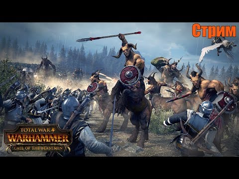 Видео: Куда ведут звериные тропы? ♦ Total War: Warhammer ♦ Стрим