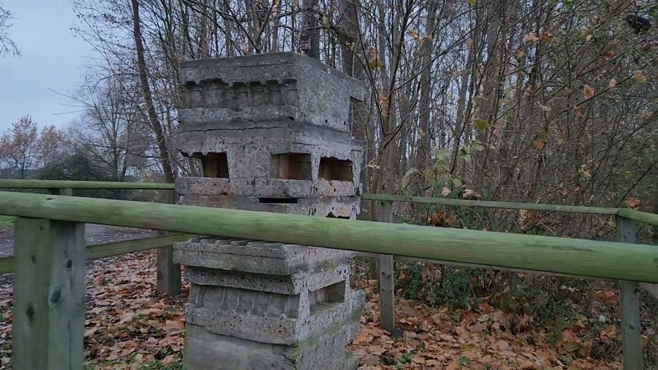 Дневник : Германия - Дипресуха... / Буду пахнуть как David Beckham)