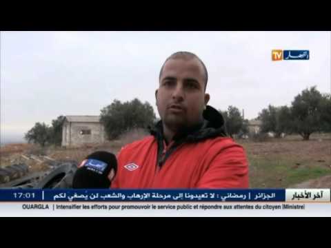 عين الدفلى غيابات أليات و ميكانزمات التصدير يعرض منتوج البطاط للتلف