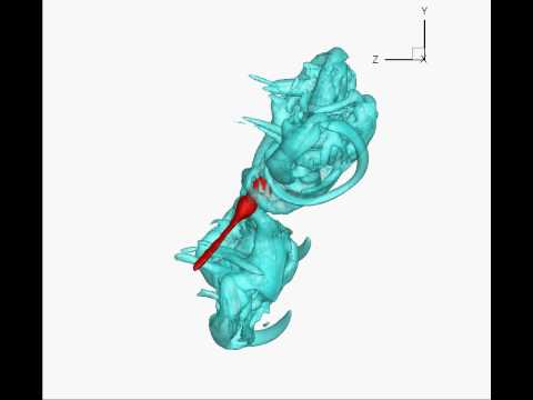 Tecplot 360 Simulation Example: Dragonfly Flight Physics (I)