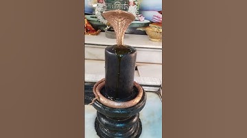 शिवलिंग पर सरसों के तेल का उपाय #mhadevbhakt #pradeepmishraji #shivmahapurankatha #oil