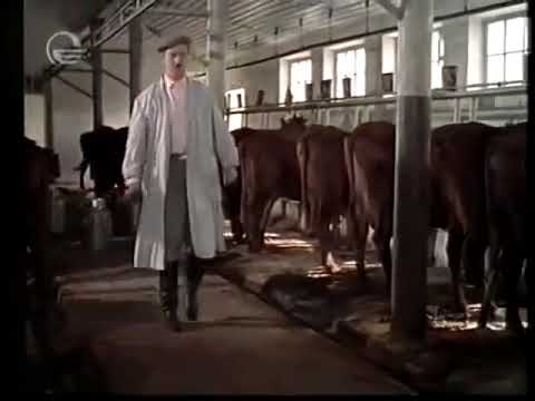 აბა ჰო,ქალებო! აბა ჰე! აბა ჰო!