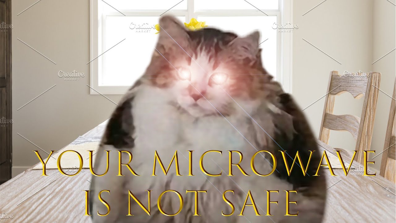 Cat Inhales Microwave Youtube