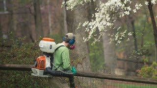 Mosquito Pest Control in Humble Texas