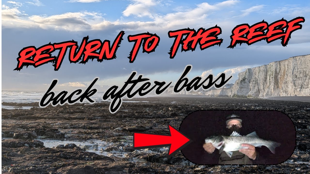 RETURN TO THE REEF – BACK AFTER BASS – UK BASS FISHING – BRIGHTON BASS