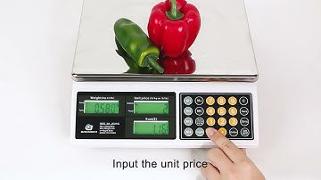 Bromech Commercial Food Scale with Green LCD Backlight for Outdoor Market JC21G - Add Up Function