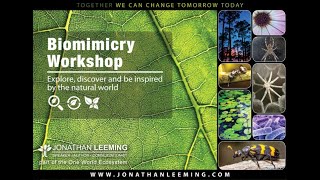 Frok Biomimicry Workshop By Jonathan Leeming