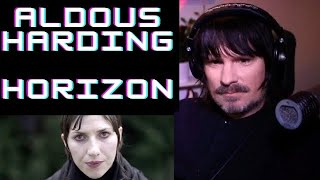 New Fans First Reaction To Aldous Harding  Horizon