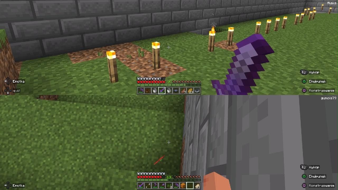 Minecraft Aleks i Mikołaj - YouTube