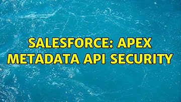 Salesforce: Apex Metadata API Security