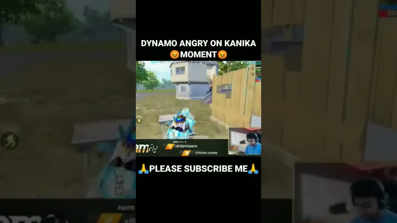 Dynamo angry and kani gaming