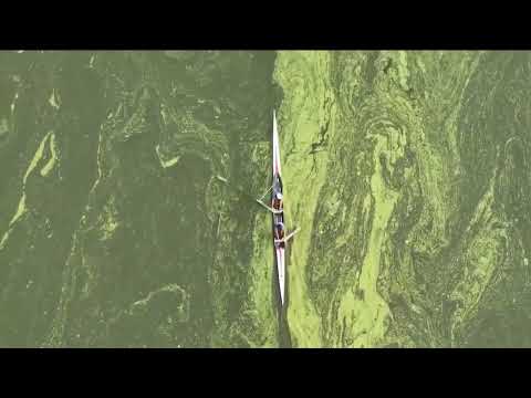 Like the Amazon, KBT Flow Turns Green