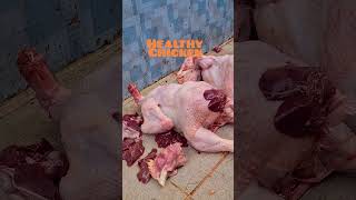 Healthy Processed Chicken #agriculture #business
