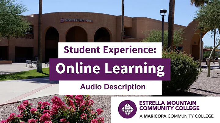 Student Experience: Online Learning - Audio Description