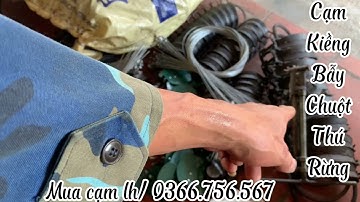 Cạm kiềng bẫy chuột,thú rừng chất lượng giá rẻ.#cạm .#cạmkiềng .#bẫy