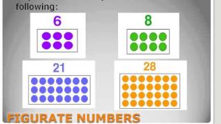 Mathematics for Grade 6: Rectangular Numbers Wealth