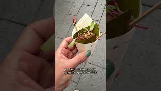 Esto de acabó #vlogyoutube #vlogoftheday #youtubeshorts #creadoradecontenido #undiaenmivida #cocina
