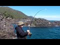 Landbased fishing nz  big bronzy off the rocks lottin point onlanders