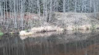 Оковецкий источник 🕌 🌊 🦢