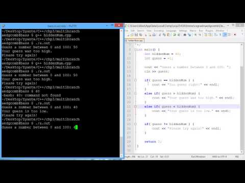Programming example - Multiple branches