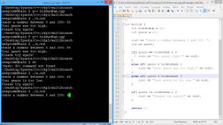 Famous Programming example - Multiple branches Net Worth
