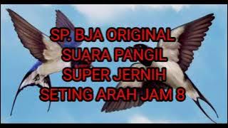 SP. BJA ORIGINAL 🔥SUARA WALET PALING DICARI PETANI WALET 🦚 Respon Full