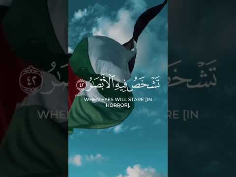 #القرآن_الكريم