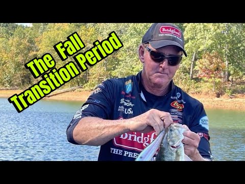 Common Mistakes Anglers Make During The Fall Bass Fishing Transition Period…