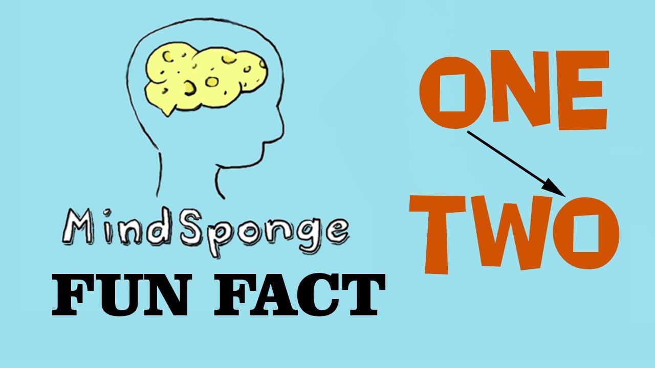 MindSponge Fun Fact: Number Letters
