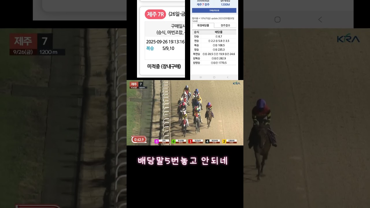 배당말은 쉽게찾는데